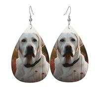 Leather Earrings for Women Teardrop Dangle Earrings Lightweight Drop Earring White Labrador Jewelry Gift