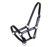 Leather foal halter Q-essentials Chico