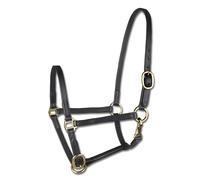 Leather foal show halter Star