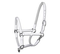 Leather foal show halter Star
