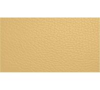 Leather Furniture Restorer Repair Paint in Colours, for sofa, car seats, shoes, hand bag restoring colour (Dark Cream, 250ml Bottle)