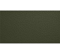 Leather Furniture Restorer Repair Paint in Colours, for sofa, car seats, shoes, hand bag restoring colour (Brass Green, 250ml Bottle)