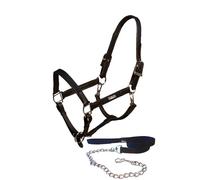 Leather halter and lead rope set for horse with chain Equestrian Stockholm
