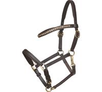 Leather halter for foal horses HorseGuard