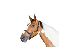 Leather halter for foals Kentucky Wellington