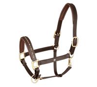 Leather halter for foals Waldhausen Crystal