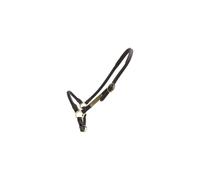 Leather halter for grooming horses Kentucky