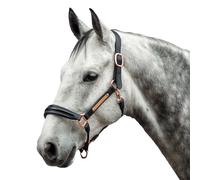 Leather halter for horse Bridlery Eternity