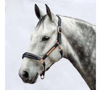 Leather halter for horse Bridlery Eternity