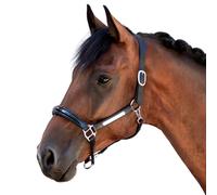 Leather halter for horse Bridlery Eternity Warmblut