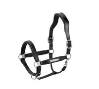 Leather halter for horse Eskadron Stallion