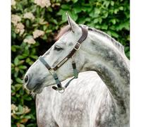 Leather halter for horse Horseware Signature