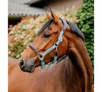 Leather halter for horse Horseware Signature