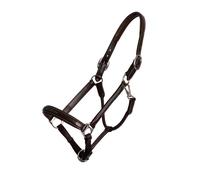Leather halter for horses Dy'on Fancy Working Collection