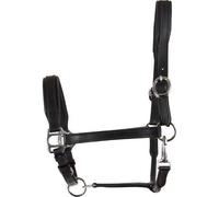 Leather halter for horses HorseGuard