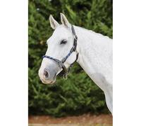 Leather halter for horses Kincade