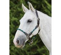 Leather halter for horses Kincade