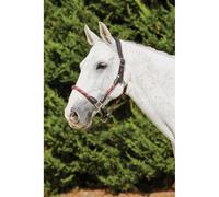 Leather halter for horses Kincade