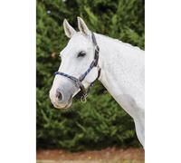 Leather halter for horses Kincade