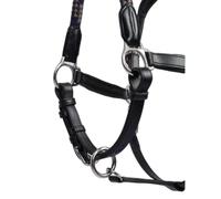 Leather halter for horses PS of Sweden Palermo