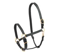 Leather halter for horses Star Robust