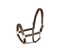 Leather halter for horses Waldhausen Crystal