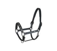 Leather halter for horses Waldhausen Crystal