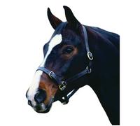 Leather halter for horses Weatherbeeta Collegiate Comfitec