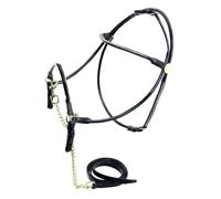 LEATHER HALTER PRESENTATION