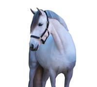 Leather halter xfull Kerbl eco