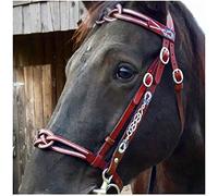 Leather Horse Bridles, Soft and Comfortable, Adjustable Size Equestrian Reins with Metal Cheek Buckle for Horse Racing Training Equipment (red)