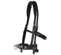 Leather horse cavesson Covalliero Exclusif
