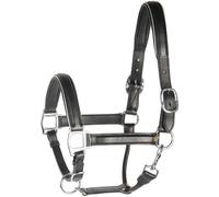 Leather horse halter with piping Harry's Horse