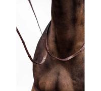 Leather horse reins PS of Sweden Softy