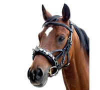 Leather horse stall Waldhausen