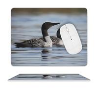 Leather Mouse Pad 10x8 Inch, Waterproof Non-Slip Desk Mat Loon Birds Mousepad Thin Portable Computer Mousepads for Office Gaming Laptop PC, Easy Clean Mouse Mat