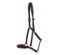 Leather padded horse halter Premier Equine
