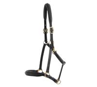 Leather padded horse halter Premier Equine