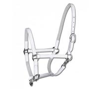 Leather show halter for cob Star