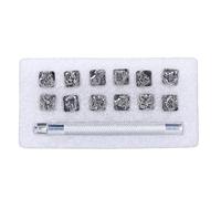 Leather Stamp Kit - DIY Leather Crafting Tool, Precise Engraving for Personalized Projects, Metal for Durable Impact, Ideal for Jackets Belts Wallets, 10 - Piece Set (Type 1)