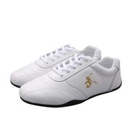 Leather Tai Chi Kung Fu Shoes Chinese Traditional Martial Arts Footwear Outdoor Men's and Women's Training Shoes,White,8.5 UK