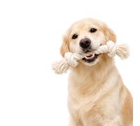 Leatherow Dog Rope Toys for Large/Medium Aggressive Chewers, Tough Cotton Chew Toy, 39 Inch 5 Knots Indestructible, Tug of War Dog Pull Rope Teeth Cleaning (2 Knots)