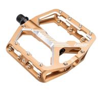 Leatt All Mountain 6.0 Flat 114x107 Mm Pedals One Size Frost Bronce