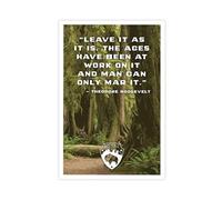 Leave It As Is Is - Man Can Only Mar It Roosevelt Quote Forest Canvas Poster Wall Art Decor Print Picture Paintings for Living Room Bedroom Decoration 12x18inch(30x45cm)