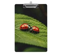 Leaves and Ladybug Clipboard, A4 Acrylic Clipboard with Hanging Hole, Ultra-Light Clip Board - Holds 100 Sheets, Shatterproof Document Holder for Office, 12.5" X 8.5"