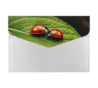 Leaves and Ladybug File Folder 6-Pocket, Waterproof Accordion File Organizer with Snap Closure, Expanding Document Holder for Office, Home