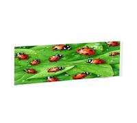 Leaves and Ladybugs -Rectangular Acrylic Table Signs - Clear Custom Nameplates For Office Desk, Restaurant, Events - Smooth Edge Professional Signage.