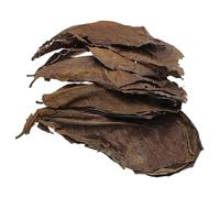 Leaves Betta Fish - Betta Shrimp Leaves Small Aquarium, Almond Leaves Aquarium Leaf | Excellent Quality Leaf, Catappa Accessories To Create Realistic Habitat And Improve Water Quality