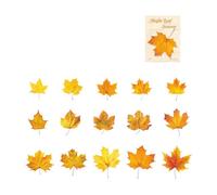 Leaves Decorative PET Sticker Label for Journal Scrapbooking Wrapping Craft Sticker