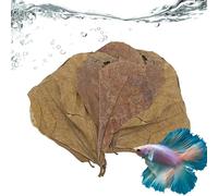 Leaves For Betta Fish, Aquarium Leaf, Almond Leaves Betta Fish Toys, Catappa Leaf 10Pcs Lower PH Level Improve Water Quality Create Realistic Habitat
